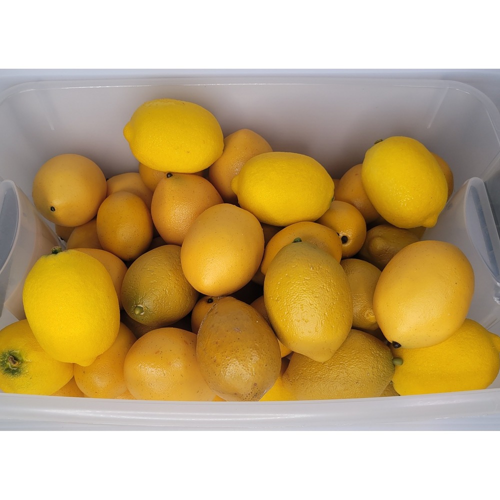 Fake Faux Lemons Bulk Set Yellow Artificial Fruit Home Decor Decor Props - Picture 3 of 6